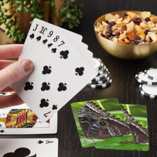 Jeu De Cartes Papillon foncé assis sur la feuille
