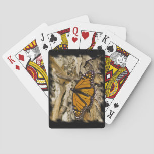 Jeu De Cartes Papillon Monarque sur le bord noir du sol