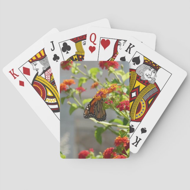 Jeu De Cartes Papillon monarque sur le papillon rouge Bush (dos)