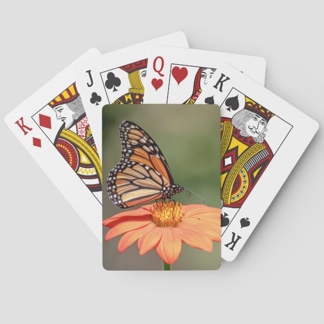 Jeu De Cartes Papillon Monarque sur une fleur d'orange (dos)