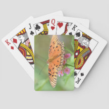 Papillon sur une fleur trouvée dans un parc local