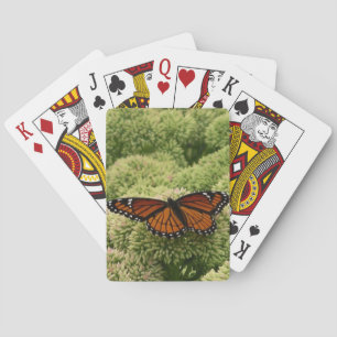 Jeu De Cartes Papillon Viceroy Belle photographie de la nature