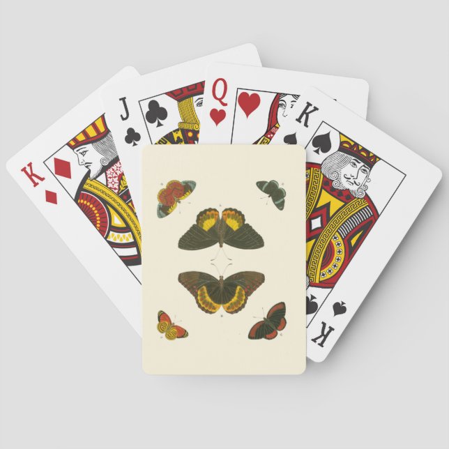 Jeu De Cartes Papillons lumineux par Pieter Cramer (dos)