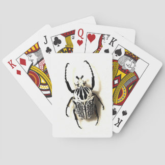 Jeu De Cartes Paquet de cartes d'insecte