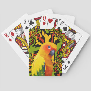 Jeu De Cartes Parrot coloré coloré et vif