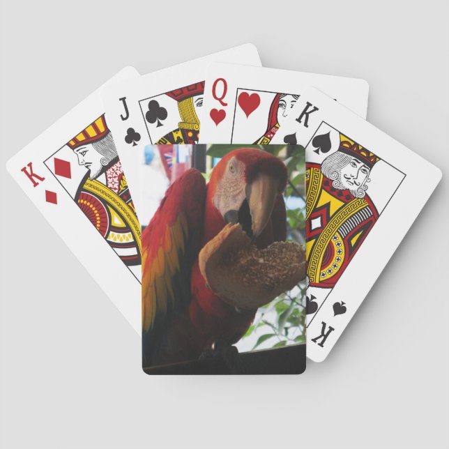 Jeu De Cartes Parrot Macaw Scarlet Manger Toast (dos)