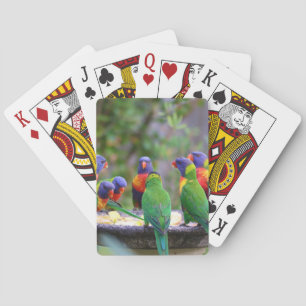 Jeu De Cartes Parrots colorés Arc-en-ciel Lorikeet Manger