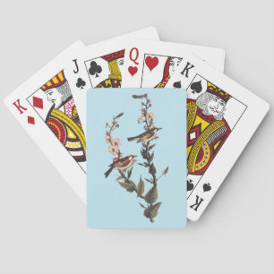 Jeu De Cartes Paruline audubon ornithologique à châtaignes sur F