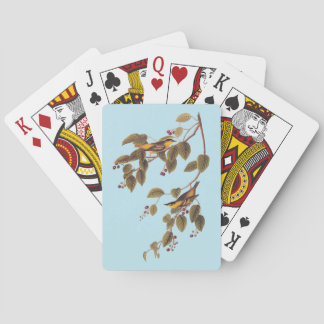Jeu De Cartes Paruline carbonée Audubon Oiseau