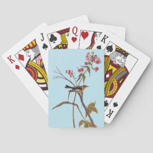 Jeu De Cartes Paruline noire Vintage Audubon Songbird Art
