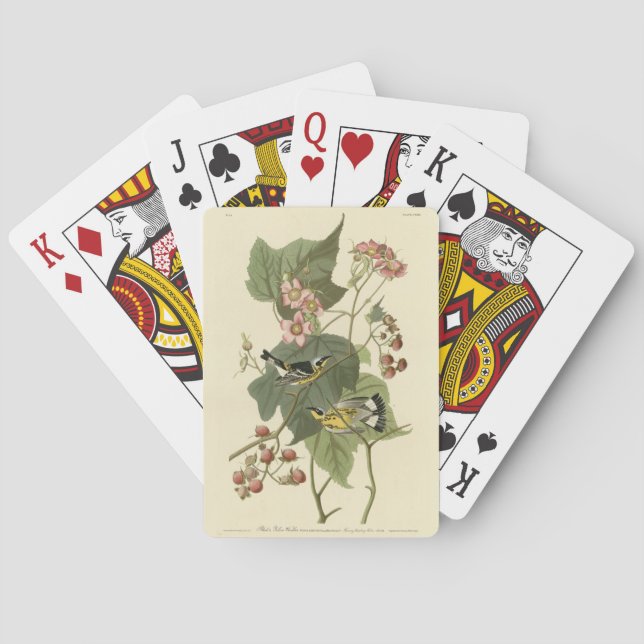 Jeu De Cartes Parulines jaunes et noires Audubon's Birds of Amer (dos)