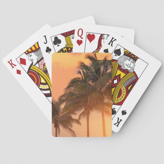 Jeu De Cartes Paumes de Miami (dos)