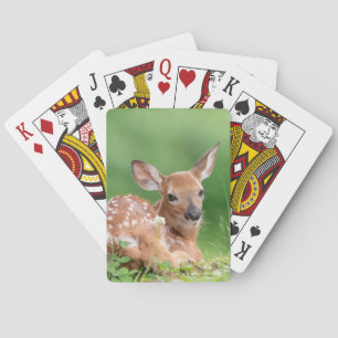 Jeu De Cartes Pauvreté adorable posée sous un arbre