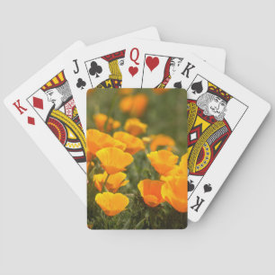 Jeu De Cartes Pavots de Californie, parc d'État Montana de Oro