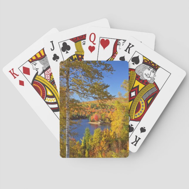 Jeu De Cartes Paysage d'arbres en automne, Maine (dos)