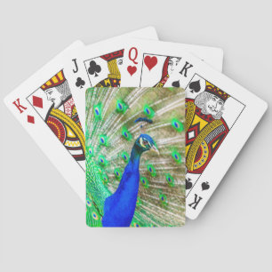 Jeu De Cartes Peacock Plumage