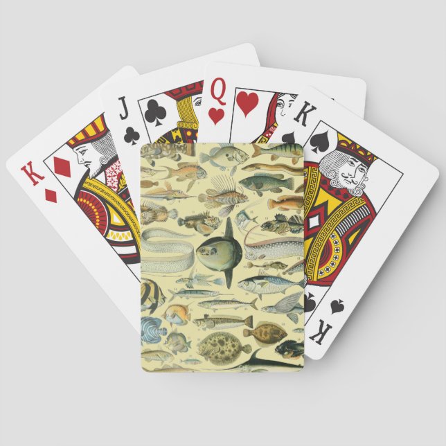 Jeu De Cartes Pêche scientifique vintage (dos)