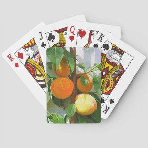 JEU DE CARTES PÊCHES