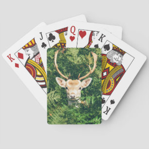 Jeu De Cartes Peek a Deer 