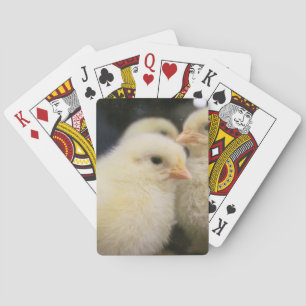 Jeu De Cartes Peeps