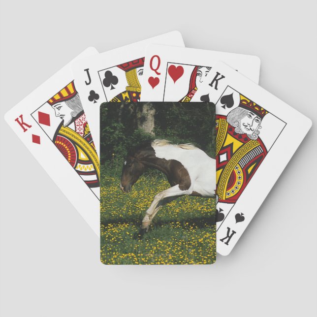 Jeu De Cartes Peignez le cheval fonctionnant dans le domaine des (dos)
