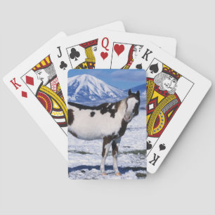 Jeu De Cartes Peignez le cheval se tenant dans la neige