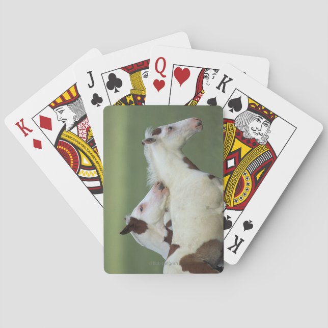 Jeu De Cartes Peignez le jeu de poulains (dos)