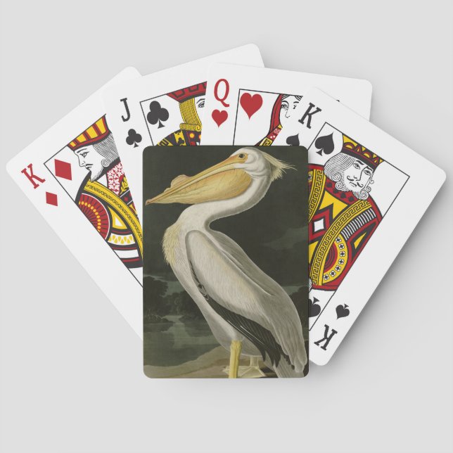 Jeu De Cartes Pélican blanc américain, les oiseaux d'Amérique d' (dos)