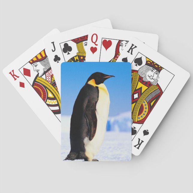JEU DE CARTES PENGUIN (dos)