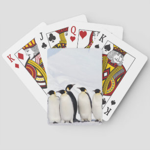 Jeu De Cartes Penguins empereurs