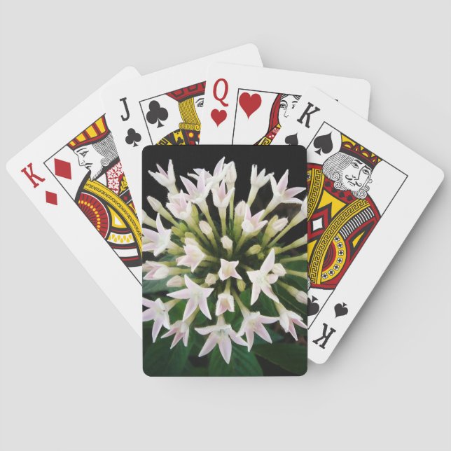 Jeu De Cartes Pentas blancs (dos)