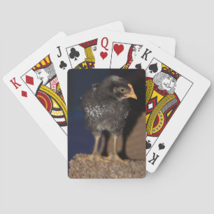 Jeu De Cartes Pep