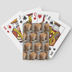 Jeu De Cartes Personnaliser une photo de votre animal de compagn
