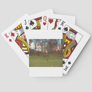 Jeu De Cartes Petit cerf et coucher de soleil rose