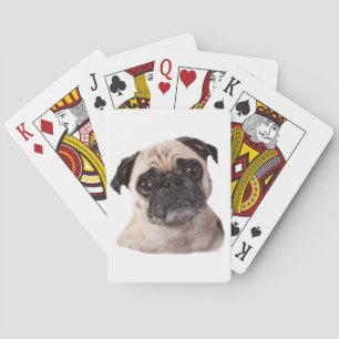 Jeu De Cartes petit chien mignon de carlin