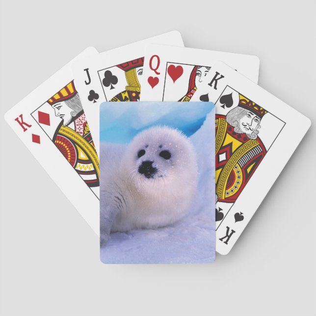 Jeu De Cartes Petite housse de phoque de harpe recouverte de flo (dos)