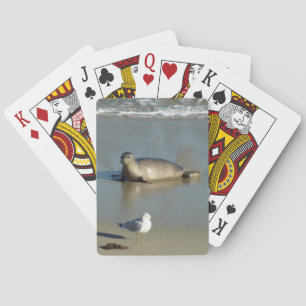 Jeu De Cartes Phoque du port à La Jolla en Californie
