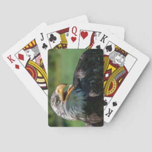 Jeu De Cartes photo d'aigle