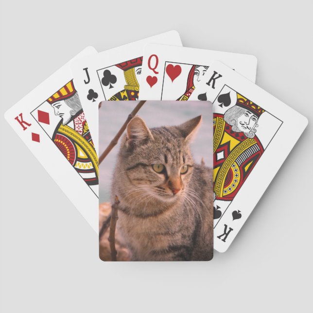 Jeu De Cartes Photo de chat (dos)