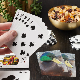 Jeu De Cartes Photo de mâle Mallard Duck