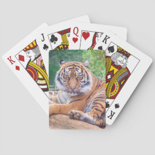 Jeu De Cartes Photo de tigre étonnante