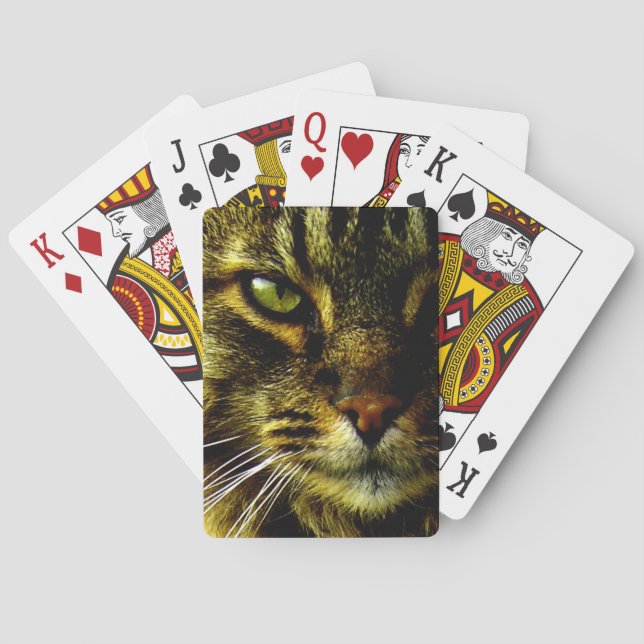Jeu De Cartes Photo d'oeil de chat hypnotisant animal (dos)