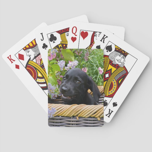 Jeu De Cartes Photo d'un chien de marionnette de l'équipe de rec (dos)
