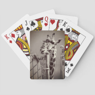 Jeu De Cartes Photo Giraffe - Style Vintage