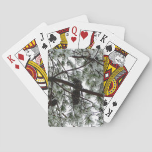 Jeu De Cartes Photo hivernale sous le pin couvert de neige