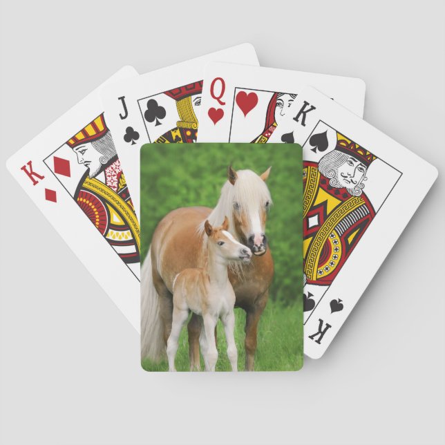 Jeu De Cartes Photo mignonne de maman de baiser de poulain de (dos)