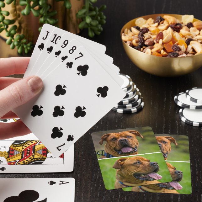 Jeu De Cartes Photo personnalisée de deux animaux de compagnie (In Situ)