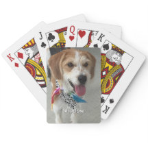 Photo pour animaux de compagnie ou photo et nom de