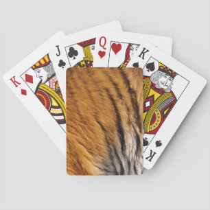 Jeu De Cartes Photo Tiger Stripes Big Cat Wildlife
