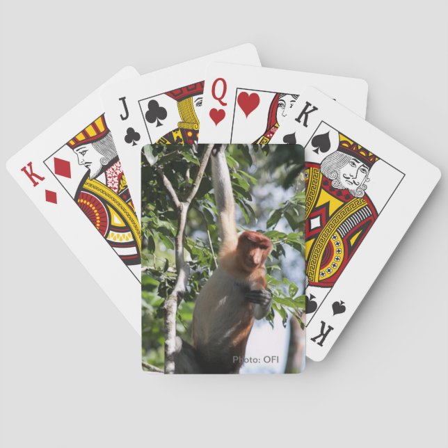 Jeu De Cartes Photographie de la faune - Proboscis Monkey (dos)